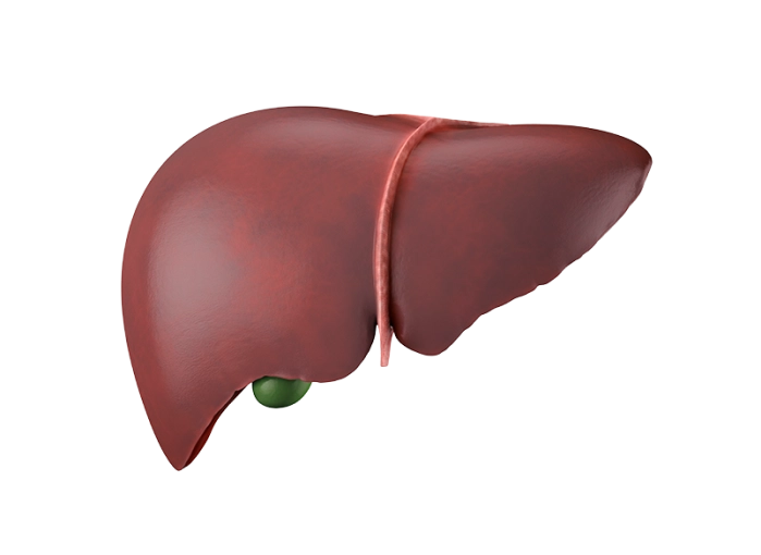Imagem destaque cirurgia hepática Anaísa Portes
