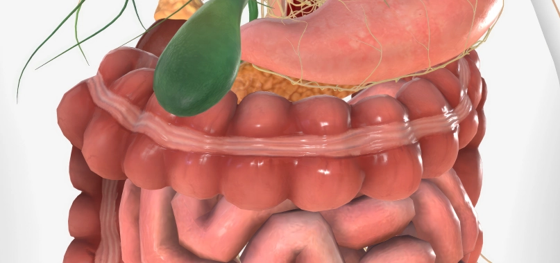 Imagem interna cirurgia do aparelho digestivo Anaísa Portes
