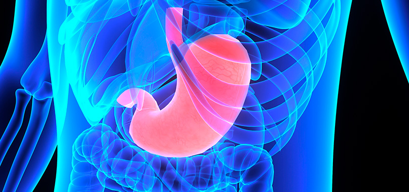anaisa-portes-imagem-interna-cirurgia-de-estomago