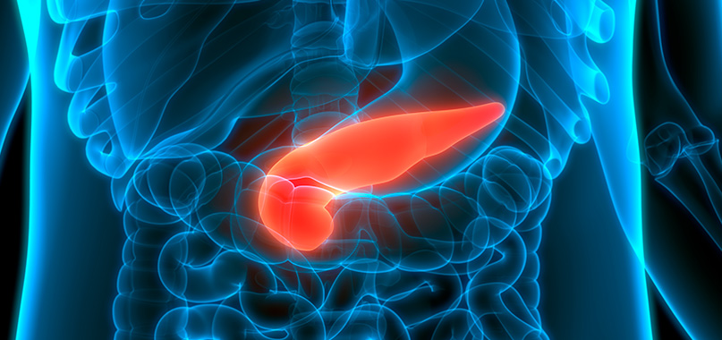 anaisa-portes-imagem-interna-cirurgia-de-pancreas