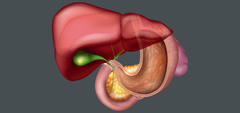 anaisa-portes-imagem-interna-cirurgia-de-vesicula