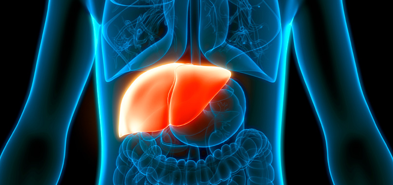 anaisa-portes-imagem-interna-cirurgia-hepatica